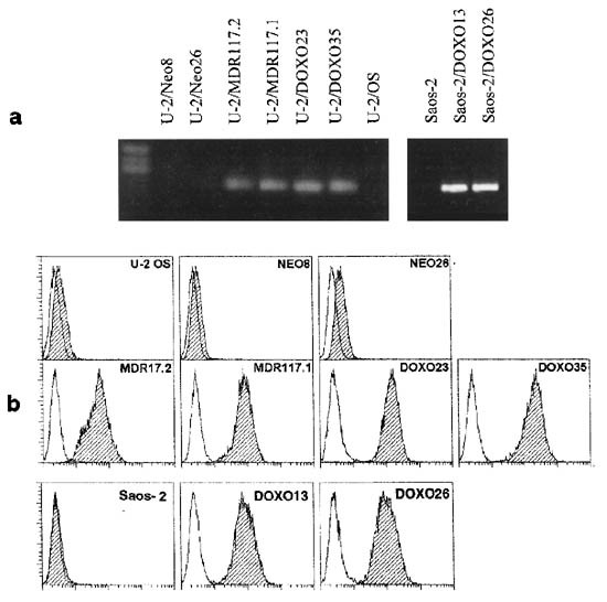 feature-image
