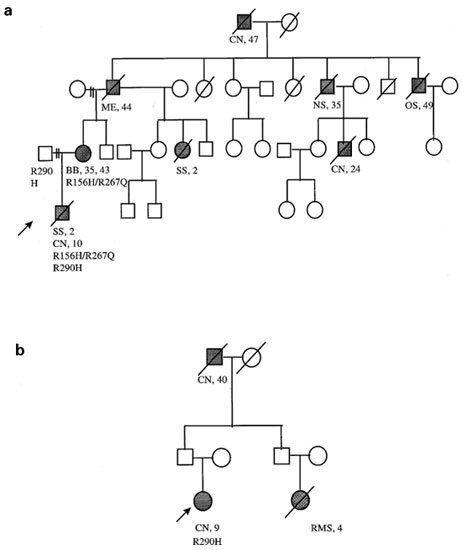 P53 Compound Heterozygosity In A Severely Affected Child
