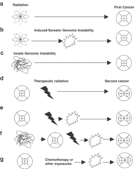 Second cancers after radiotherapy: any evidence for radiation-induced genomic instability?