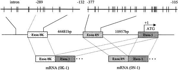 feature-image