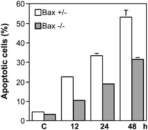 Bax deficiency affects caspase-2 activation during ultraviolet radiation-induced apoptosis