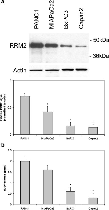 Retracted article: rna interference targeting the m2 subunit of ribonucleotide reductase enhances pancreatic adenocarcinoma chemosensitivity to gemcitabine