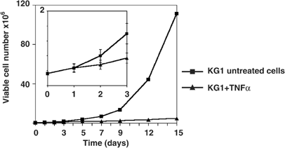 Tumor necrosis factor alpha induces senescence and chromosomal instability in human leukemic cells
