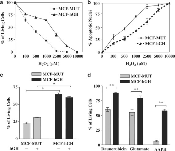 P44/42 map kinase-dependent regulation of catalase by autocrine human growth hormone protects human mammary carcinoma cells from oxidative stress-indu