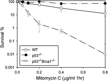 Hypersensitivity of brca1-deficient mef to the dna interstrand crosslinking agent mitomycin c is associated with defect in homologous recombination repair and aberrant s-phase arrest
