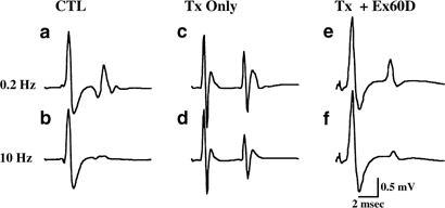 Restoration of frequency-dependent depression of the h-reflex by passive exercise in spinal rats