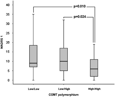 Catechol- O -methyltransferase (COMT) polymorphisms predict treatment  response in electroconvulsive therapy | The Pharmacogenomics Journal