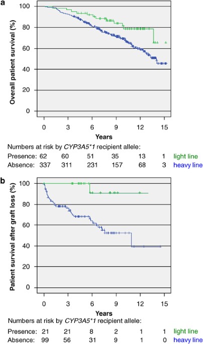Cyp3a5 genotype is associated with longer patient survival after kidney transplantation and long-term treatment with cyclosporine