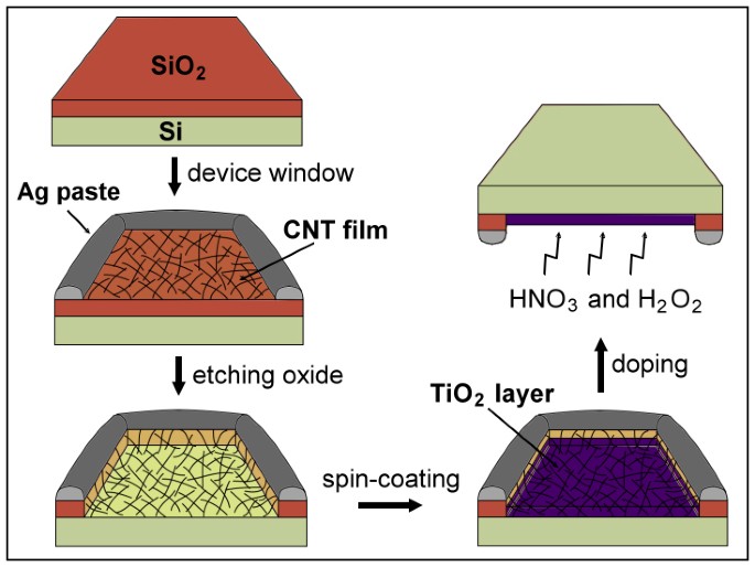 TiO2-Coated Carbon Nanotube-Silicon Solar Cells with Efficiency of 15% |  Scientific Reports
