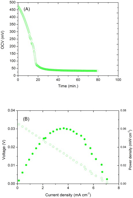 Synthesis of ammonia directly from air and water at ambient temperature and pressure - Scientific Reports