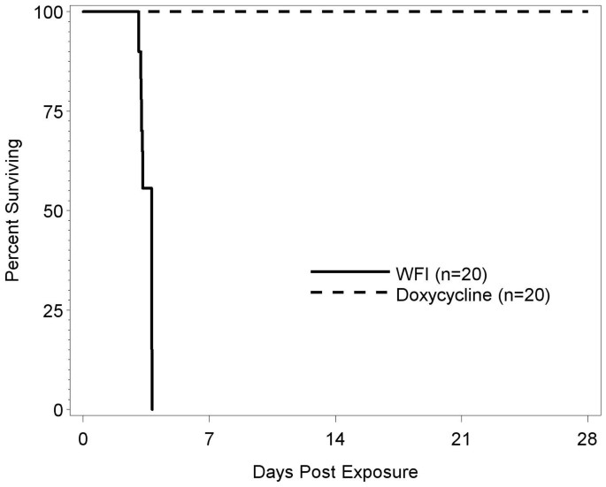 PDF) Postexposure prophylaxis with single-dose doxycycline is