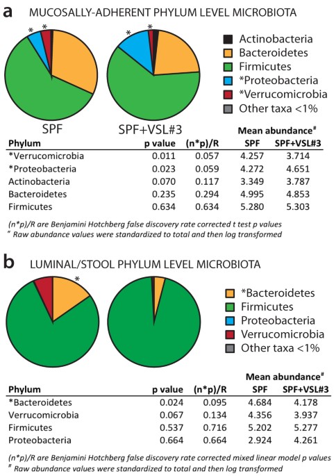VSL#3 probiotic modifies mucosal microbial composition but does not reduce  colitis-associated colorectal cancer | Scientific Reports