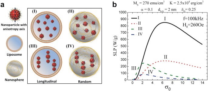 Effect of magnetic dipolar interactions on nanoparticle heating efficiency:  Implications for cancer hyperthermia | Scientific Reports