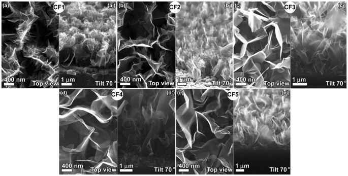 Carbon Nanowalls The Next Step For Physical Manifestation Of The Black Body Coating Scientific Reports