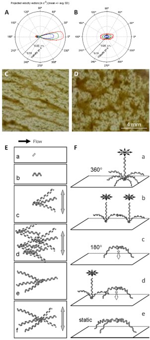 feature-image