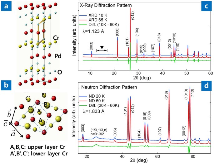 Direct observation of localized spin antiferromagnetic transition in pdcro2 by angle-resolved photoemission spectroscopy