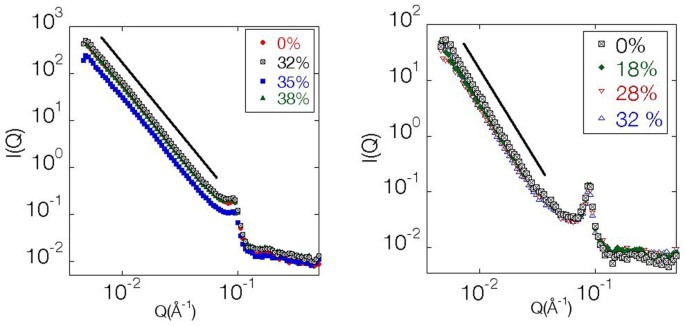 Elasto-plasticity in wrinkled polymerized lipid membranes