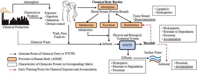 Wastewater Treatment Plants As Chemical Observatories To Forecast Ecological And Human Health Risks Of Manmade Chemicals Scientific Reports