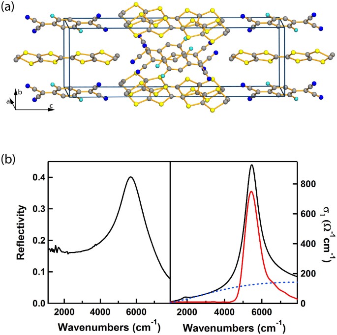 Optical properties of a vibrationally modulated solid state mott insulator