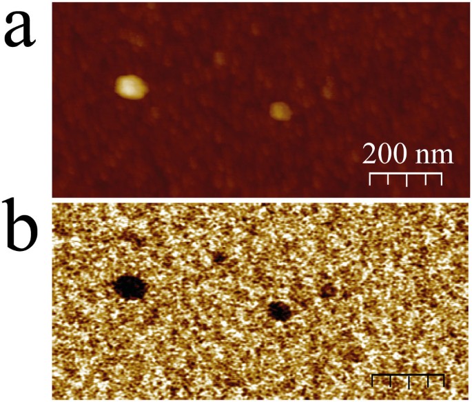 Tunnel conductivity switching in a single nanoparticle-based nano floating gate memory
