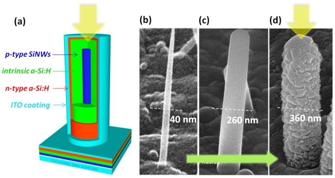 Understanding light harvesting in radial junction amorphous silicon thin film solar cells