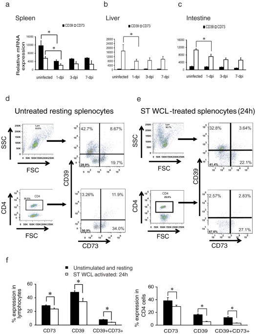 Ecto-5′-nucleotidase (cd73) regulates host inflammatory responses and exacerbates murine salmonellosis