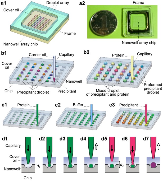 Nanoliter-Scale Protein Crystallization and Screening with a Microfluidic Droplet  Robot | Scientific Reports