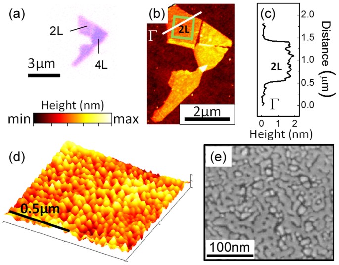Photoluminescence quenching in gold - MoS2 hybrid nanoflakes | Scientific  Reports