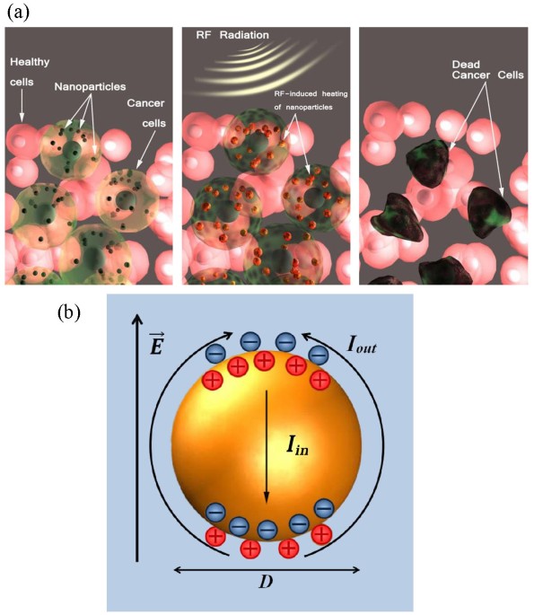 Radio Frequency Radiation-Induced Hyperthermia Using Si Nanoparticle-Based  Sensitizers For Mild Cancer Therapy | Scientific Reports