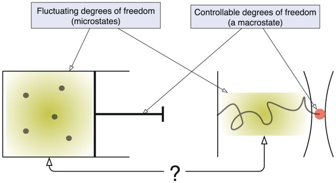 Local non-equilibrium thermodynamics | Scientific Reports