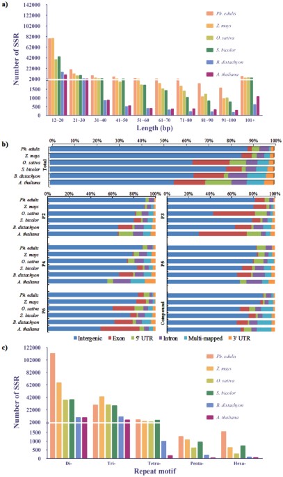 Developing genome-wide microsatellite markers of bamboo and their  applications on molecular marker assisted taxonomy for accessions in the  genus Phyllostachys | Scientific Reports