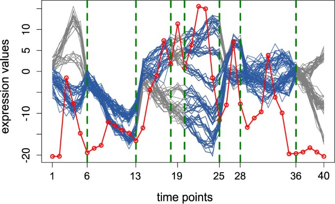 kranium lunge skud Segmentation of biological multivariate time-series data | Scientific  Reports