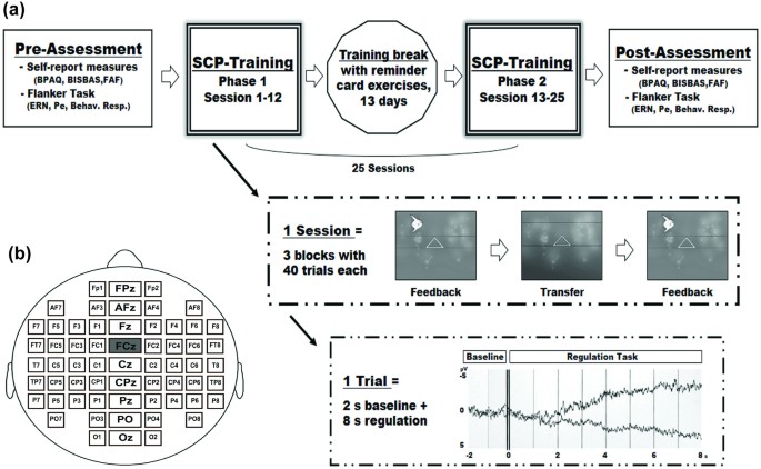 Brain self-regulation in criminal psychopaths