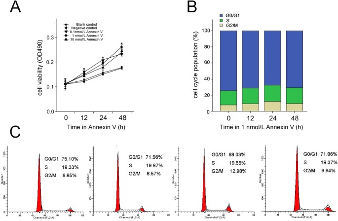 Annexin V Induced Rat Leydig Cell Proliferation Involves Ect2 Via Rhoa Rock Signaling Pathway Scientific Reports