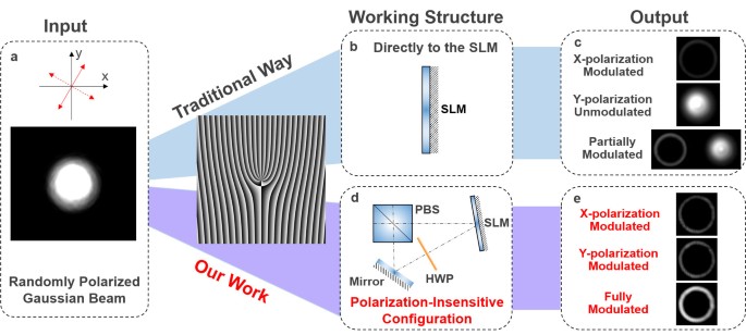 Demonstration of polarization-insensitive spatial light modulation using a single polarization-sensitive spatial light modulator Scientific Reports