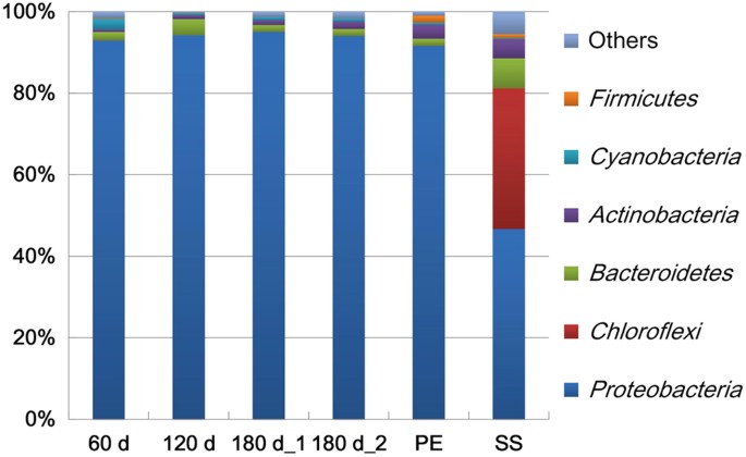 bacterial glutathione a sacrificial defense chesney 1996 Diversity and functions of community in drinking water biofilms revealed by high-throughput sequencing RCSB PDB - 1A0F: CRYSTAL