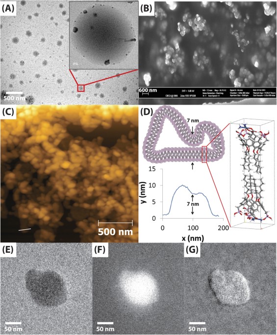 Shear Induced Carboplatin Binding Within The Cavity Of A Phospholipid Mimic For Increased Anticancer Efficacy Scientific Reports