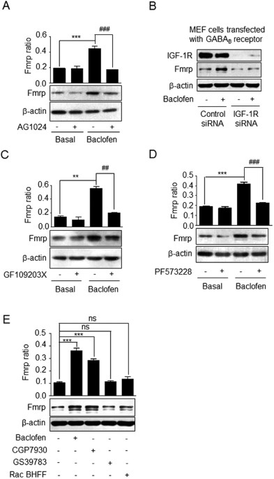 FMRP(1–297)-tat restores ion channel and synaptic function in a