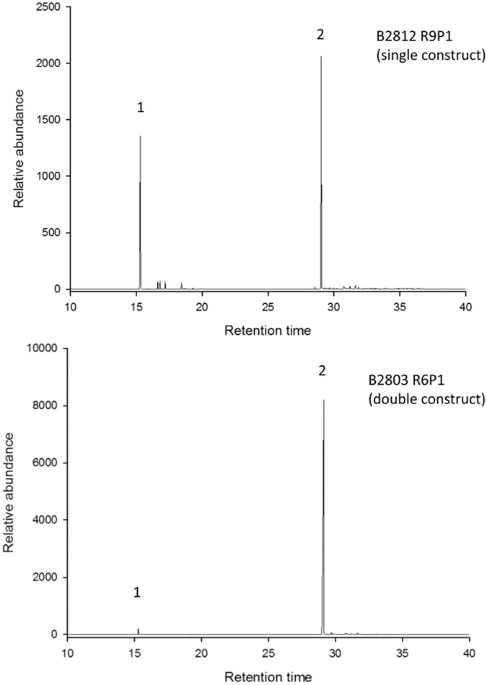 The First Crop Plant Genetically Engineered To Release An Insect Pheromone For Defence Scientific Reports