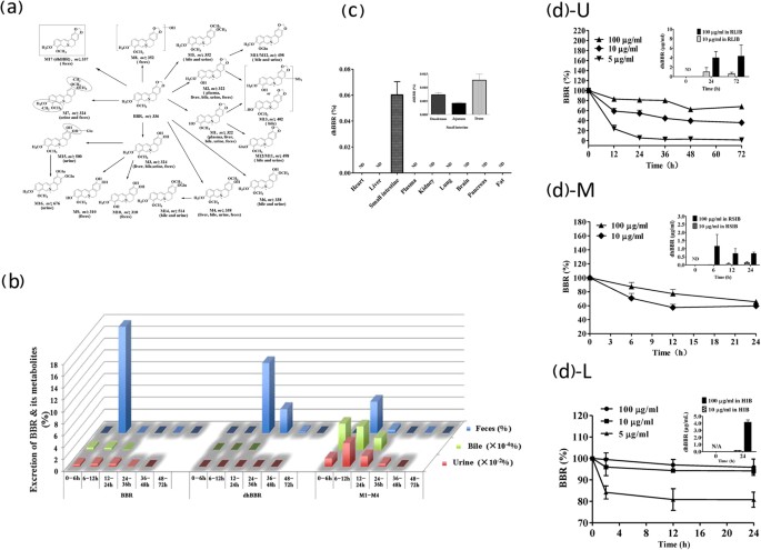 Transforming Berberine Into Its Intestine Absorbable Form By The Gut Microbiota Scientific Reports