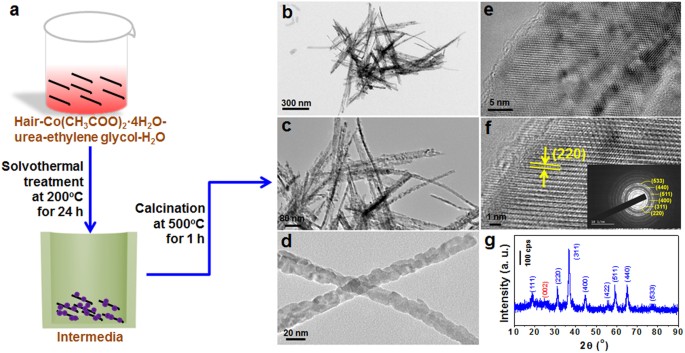 human hair nanometer