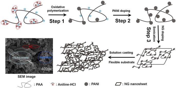 High Performance Flexible Solid State Carbon Cloth Supercapacitors Based On Highly Processible N Graphene Doped Polyacrylic Acid Polyaniline Composites Scientific Reports