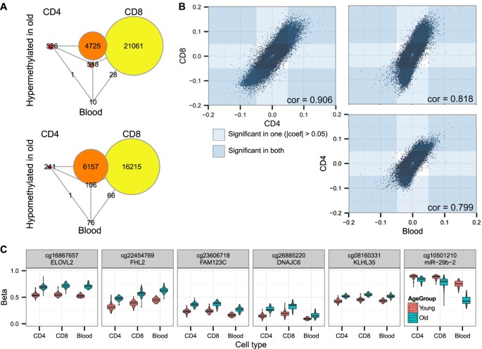 dna methylation in cd8 t cells