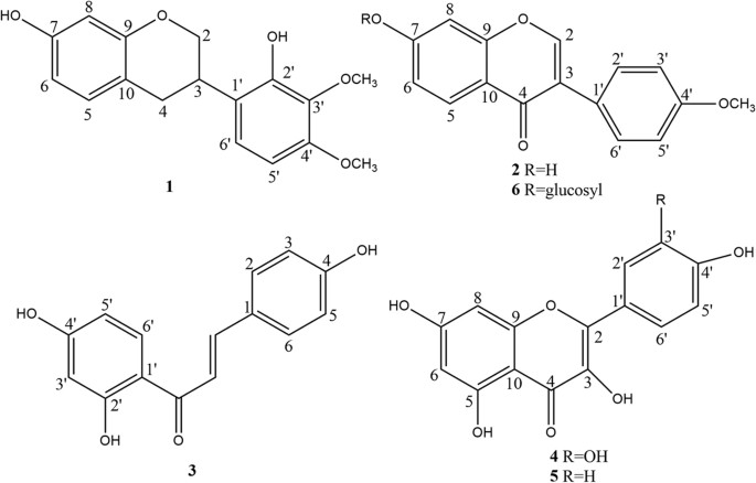 Structural Characterization And Evaluation Of The Antioxidant Activity Of Phenolic Compounds From Astragalus Taipaishanensis And Their Structure Activity Relationship Scientific Reports