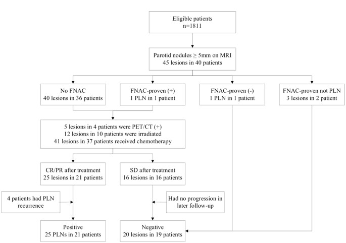 Lymphatic Drainage Flow Chart