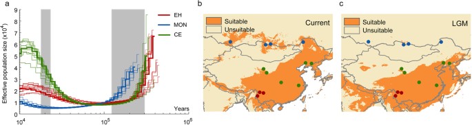 Ground tit genome reveals avian adaptation to living at high altitudes in  the Tibetan plateau