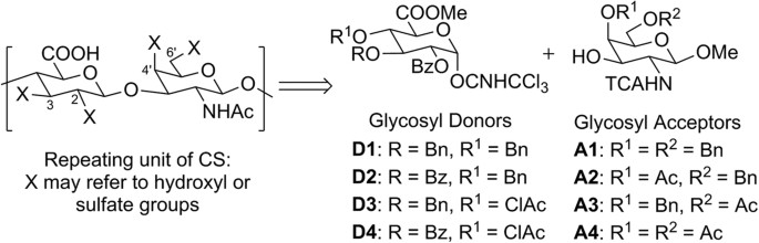 Divergent synthesis of chondroitin sulfate disaccharides and identification of sulfate motifs that inhibit triple negative breast cancer