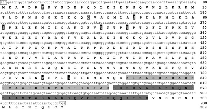 The Ap 1 Transcription Factor Homolog Pf Ap 1 Activates Transcription Of Multiple Biomineral Proteins And Potentially Participates In Pinctada Fucata Biomineralization Scientific Reports