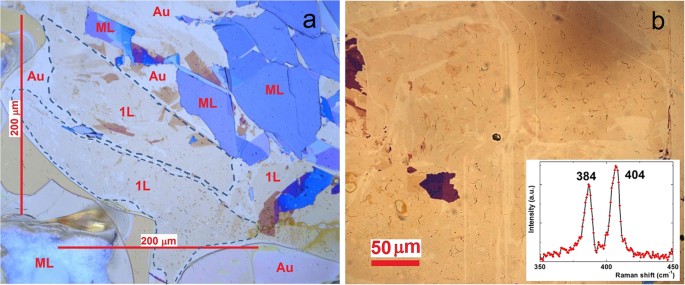 mechanical exfoliation