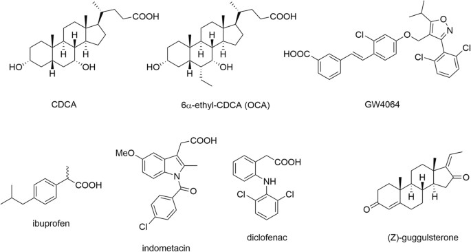 NSAIDs Ibuprofen, Indometacin and Diclofenac do not interact with Farnesoid  X Receptor | Scientific Reports